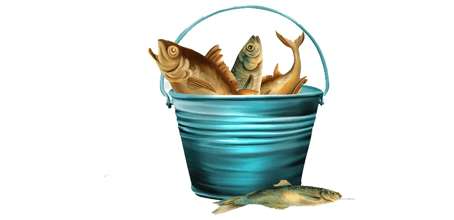 primitivefishing home 4