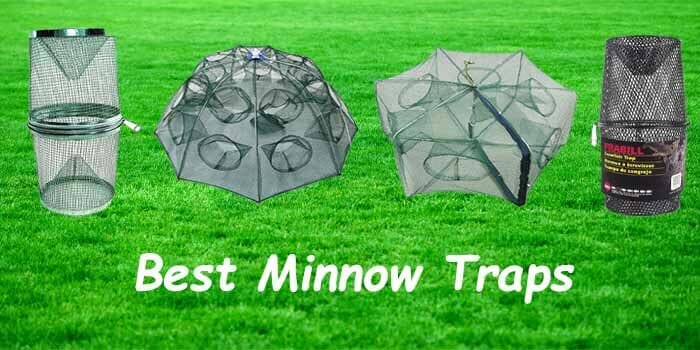 Best Minnow Traps