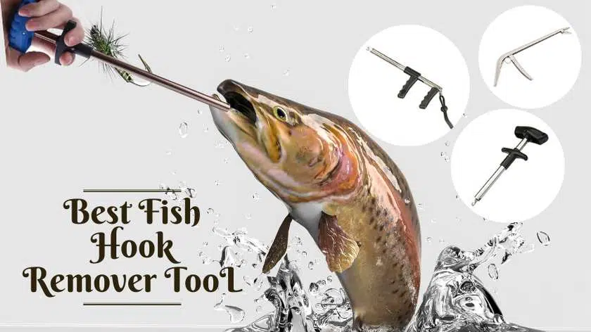 best fish hook remover tool