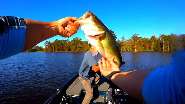best time to fish for bass